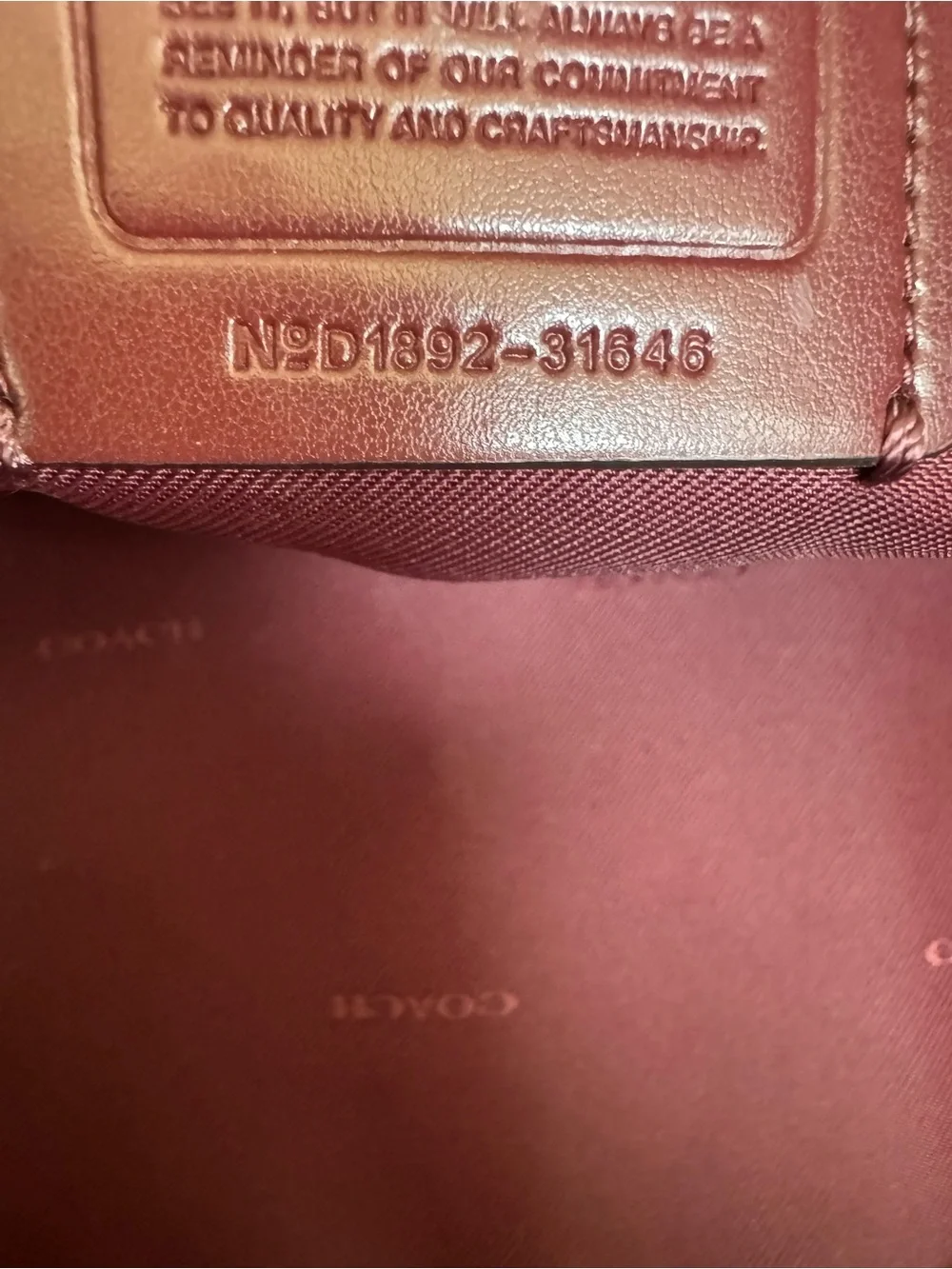 COACH 31646 Dreamer 36 in colorblock Wine Multi bag large
